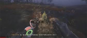 潜行者2捕蝇草超自然体在哪形成