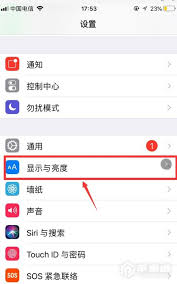 苹果15如何设置图标大小