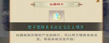 想不想修真本命法宝如何喂养提升