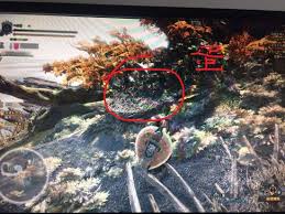 怪物猎人世界飞龙的蛋位置在哪