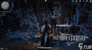 燕云十六声十二载恩仇支线任务怎么过