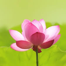 夫妻和谐破婚含义是什么