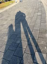 shadow暗示什么含义