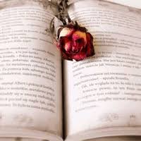 自由幻想支持哪些特殊字符输入