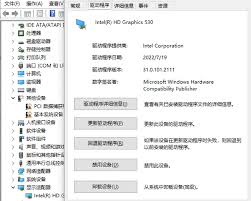 电脑显示无视频卡驱动如何解决