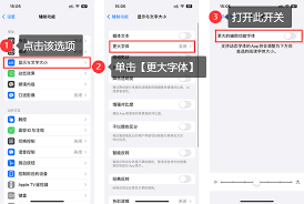 如何在iphone6上调大字体
