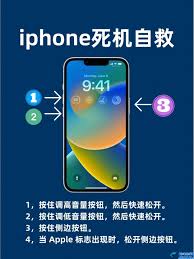 苹果手机死机了如何解决