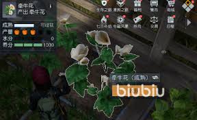 黎明觉醒庄园积分商店位置在哪