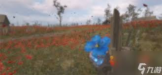 潜行者2怪异的花效果在哪里