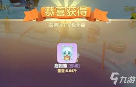 摩尔庄园抱抱熊有什么作用