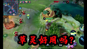 王者荣耀草灵英雄联动玩法全解析