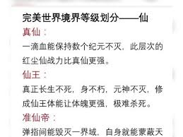 完美世界等级境界如何划分