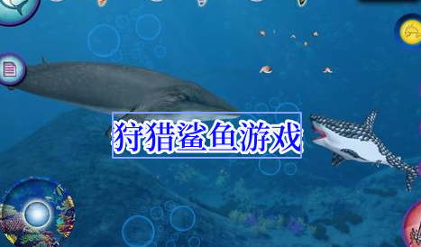 狩猎鲨鱼游戏