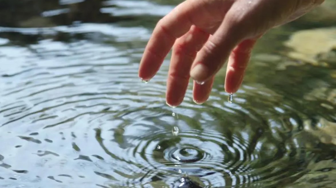 慢动作视频软件