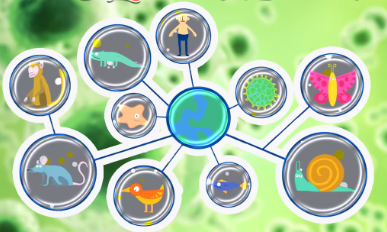 细胞进化类游戏
