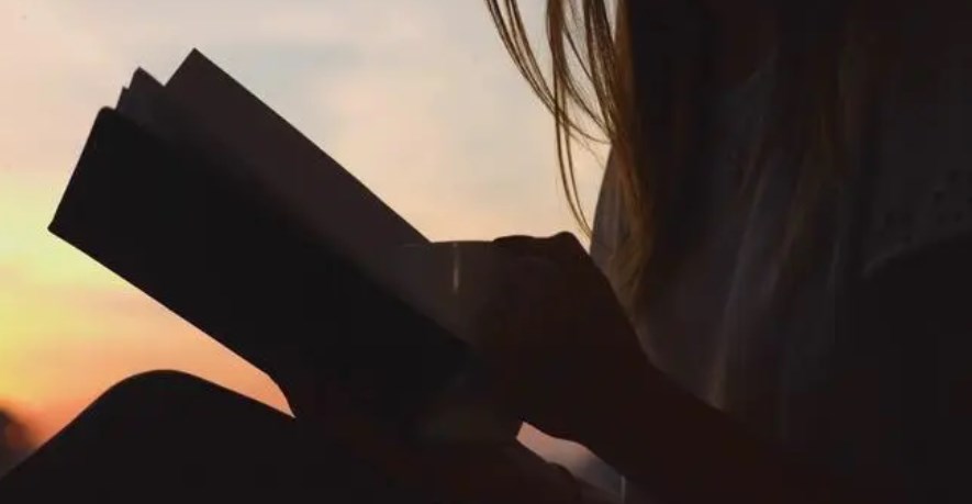 不联网看书软件