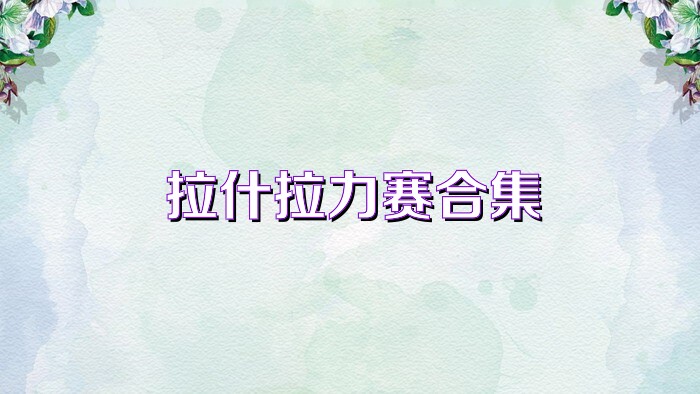 拉什拉力赛合集