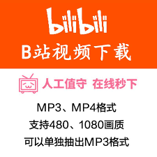 网页版bilibili