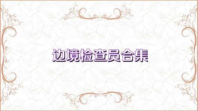 边境检查员合集