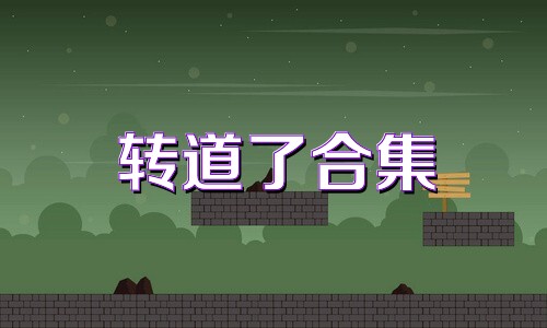 转道了合集