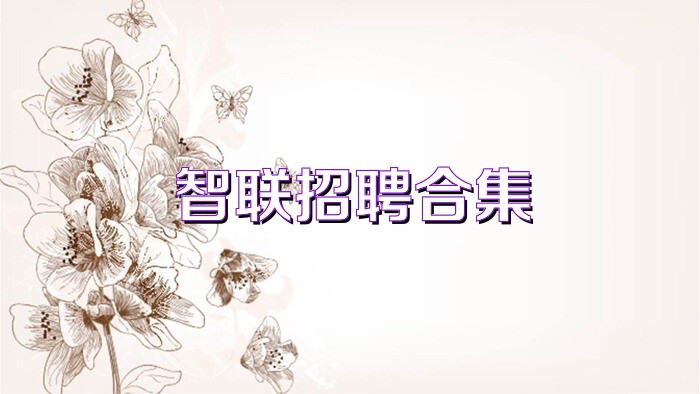 智联招聘合集