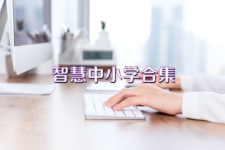 智慧中小学合集