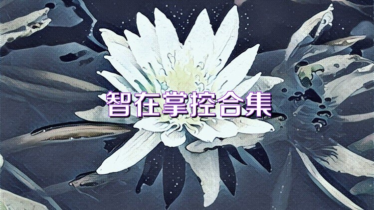 智在掌控合集