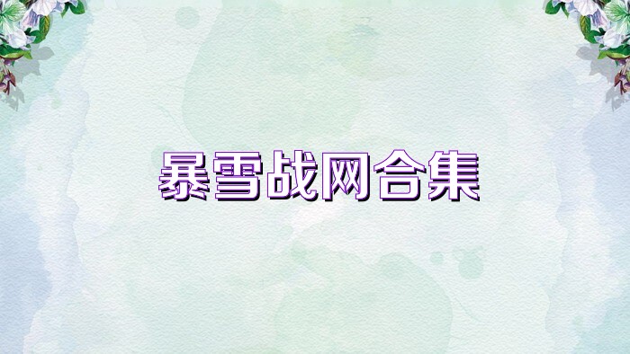 暴雪战网合集
