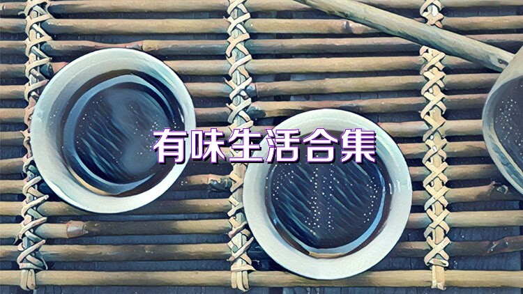有味生活合集
