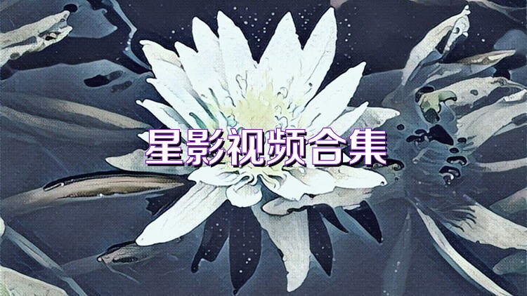 星影视频合集