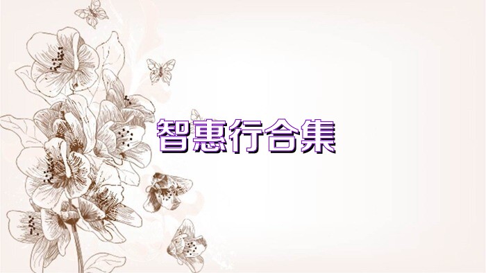 智惠行合集
