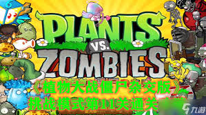 植物大战僵尸杂交版泳池防守第11关怎么过