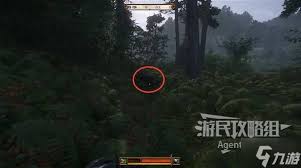 天国拯救2司令官的诅咒触发条件是什么