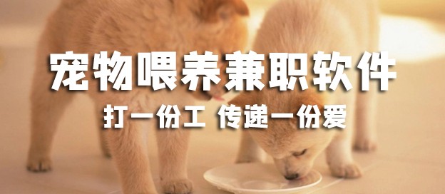 宠物喂养兼职app