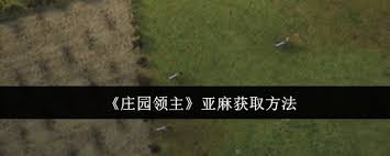 庄园领主亚麻获取途径