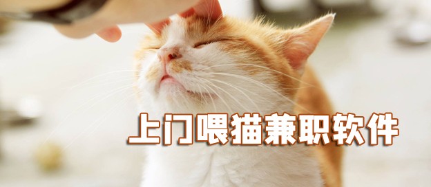 上门喂猫兼职app