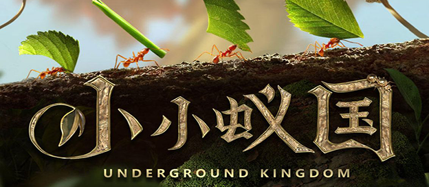 小小蚁国版本大全