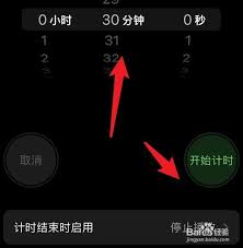 如何开启苹果手机定时暂停