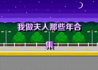 我做夫人那些年合集